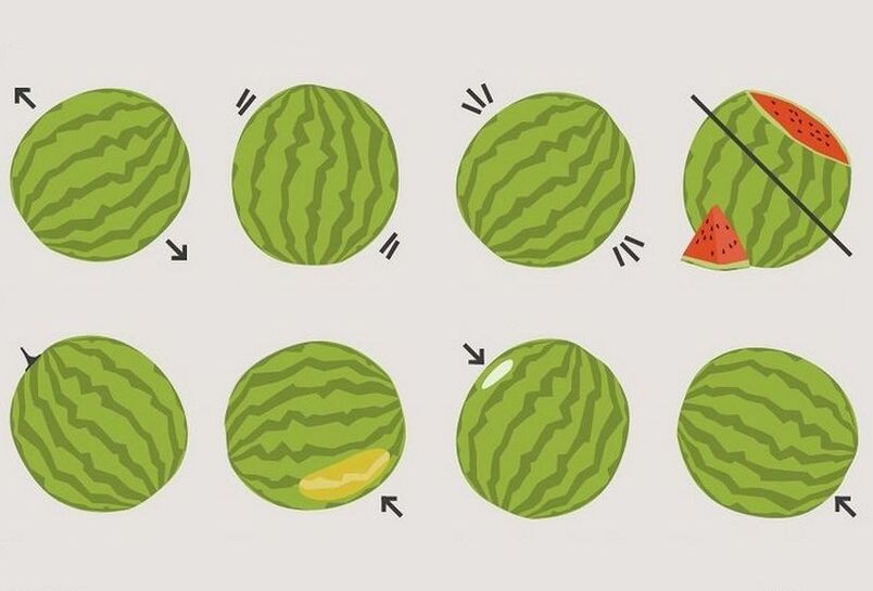 ako si vybrať správny melón